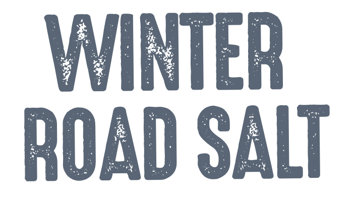 Winter Road Salt_HeroTitle